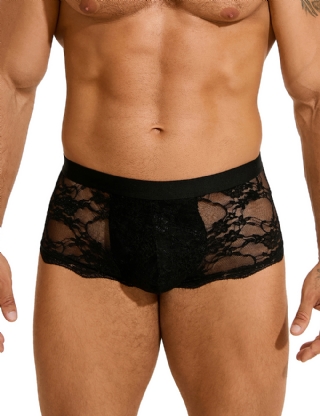 Black Sexy Lace See Through Men Underwear